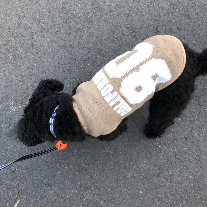 9dab28be fb7c 442e 9e93 c0197e74fe08 1520849235935