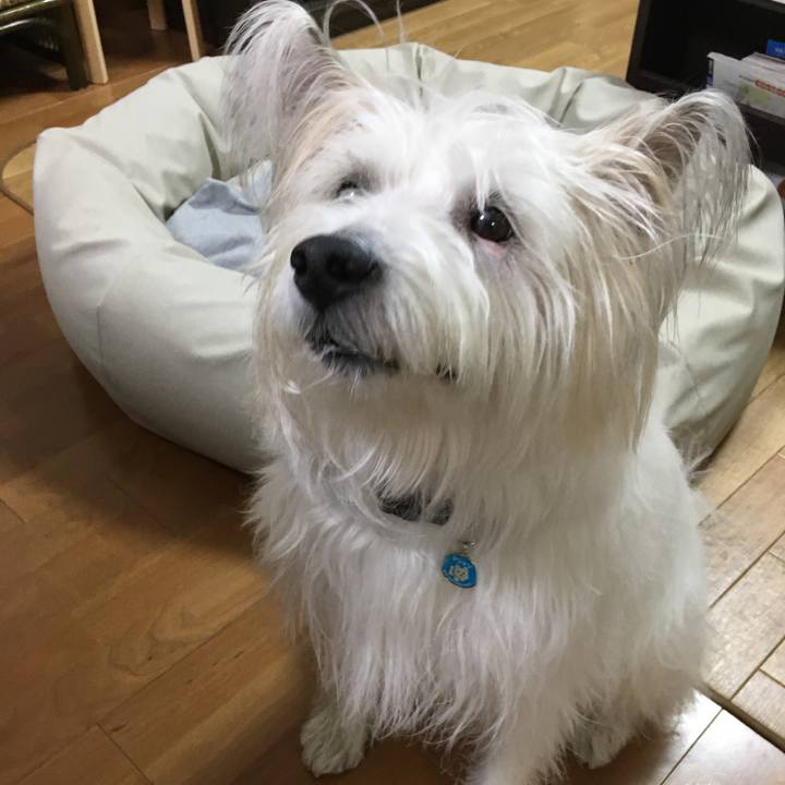 9dab2fd4 914f 4bdd 8b4c 56810de371ad 1610883149205