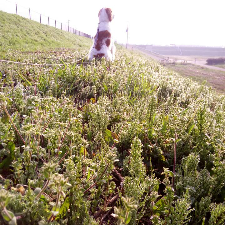 9dab64de 313b 461c 80a0 9b5f6342896f 1522208512445