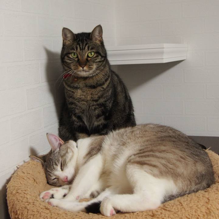 9daba225 a859 4200 a180 2fa424a14a39 1581339170414