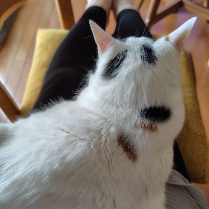 9dabc09d aba3 4515 9b3a 374d10b65121 1715156052381