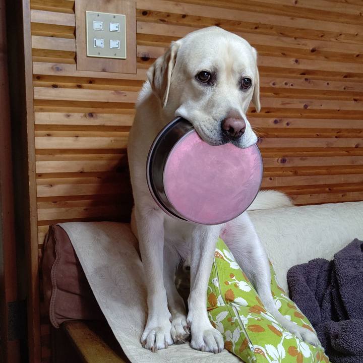 9dabcb26 b753 451d 9448 cc79320eedb0 1602294351217