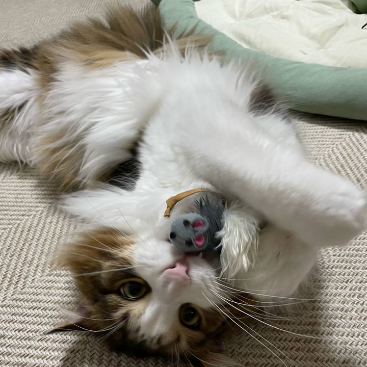 9dabd858 9238 4a29 aa70 b45fbceddaa9 1675716420195