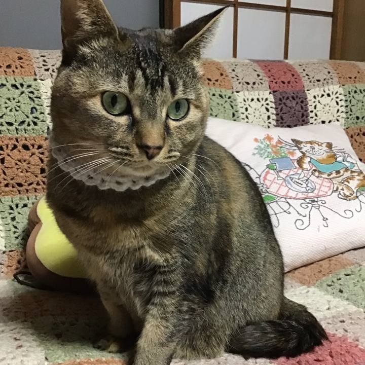 9dac0952 d922 49bc a35d d96df901fd16 1740216175612