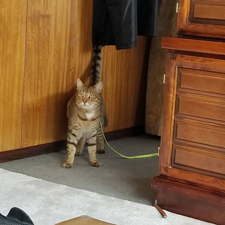 9dac0e90 1c15 4892 93b5 0875c11e0bb7 1679234714656