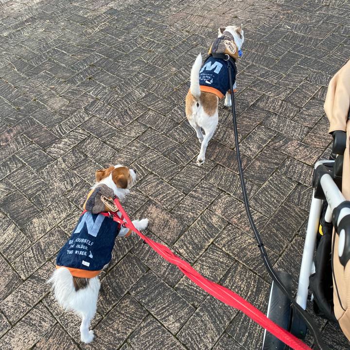 9dac17e4 550d 44c6 b38d 7776968cb8dc 1638003749583