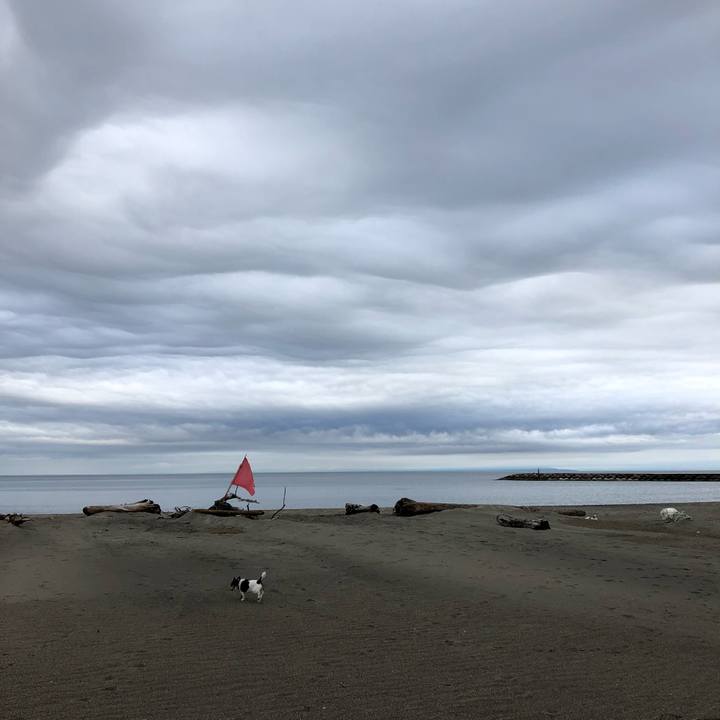 9dac51e6 914c 4042 bd75 3008211a80b9 1525735339824