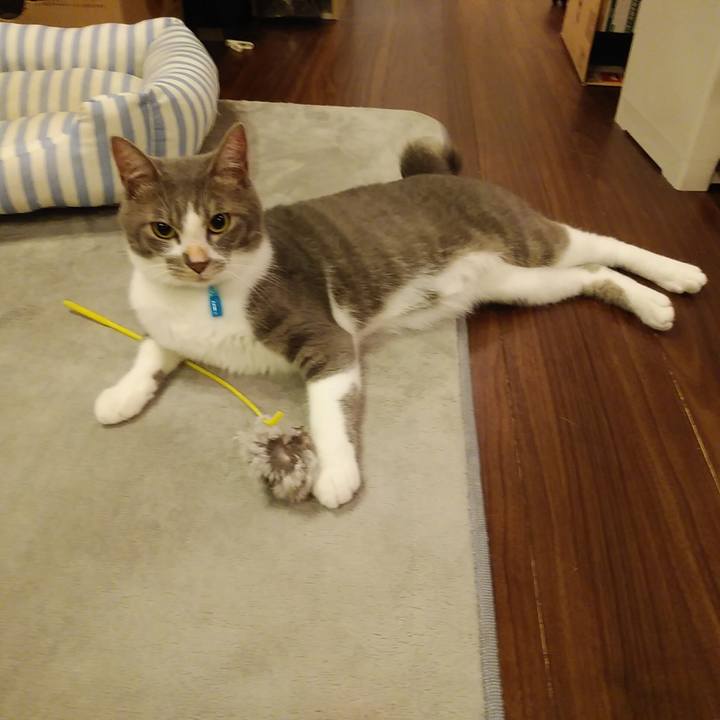 9dac53b8 ea43 426d 941f 8aaa4d7a43ca 1595083473573