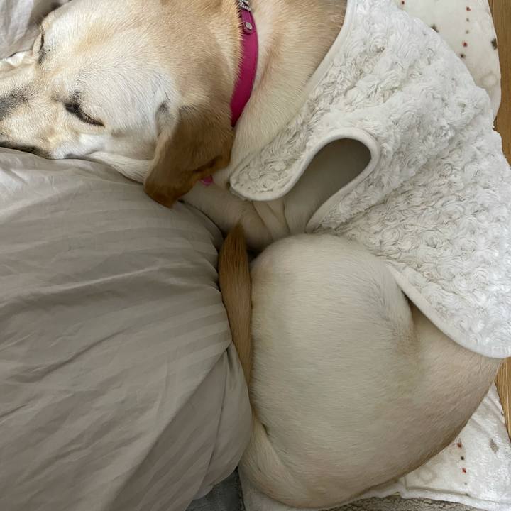 9dac7798 726b 4392 b456 9533a2f2ab15 1635001759017