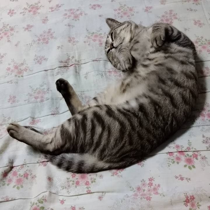 9dac91f1 a538 4e41 864d 7a8ea02802b1 1613315057808