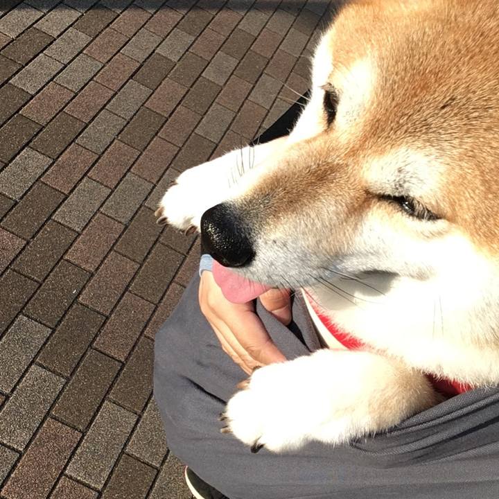 9dacd4d7 575d 4291 a966 318d3570e6b9 1565997976709