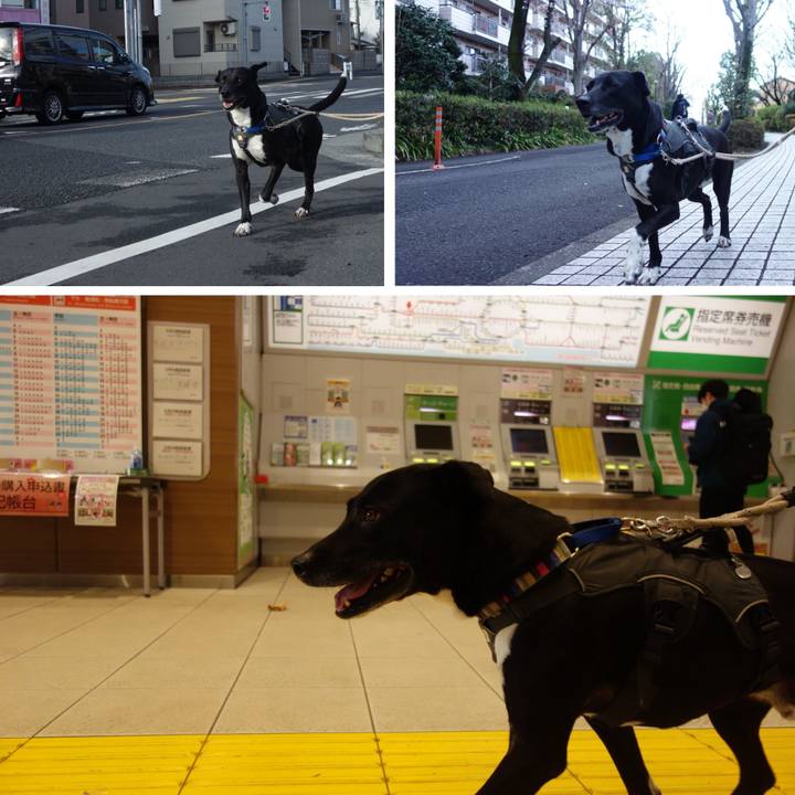 9dacf491 b8a7 44a9 a735 c95098ed398d 1648342686622