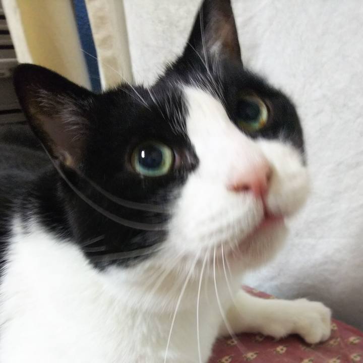 9dad100b 62b0 4eed ba4f f6436715b10c 1550008099417