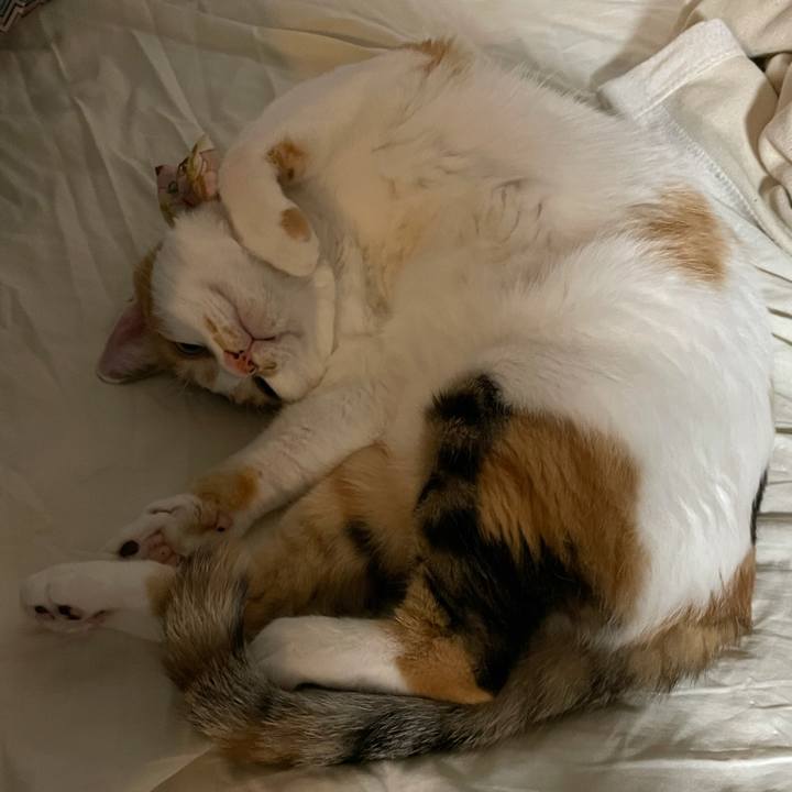 9dad59de 856d 41a3 ac39 d4280c3e2dd4 1627137935323