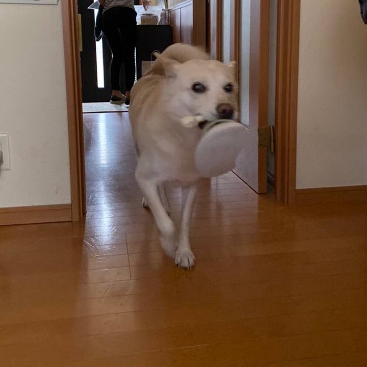 9dad77c2 cb87 48fd b2f2 646a7ede93d7 1572590655236