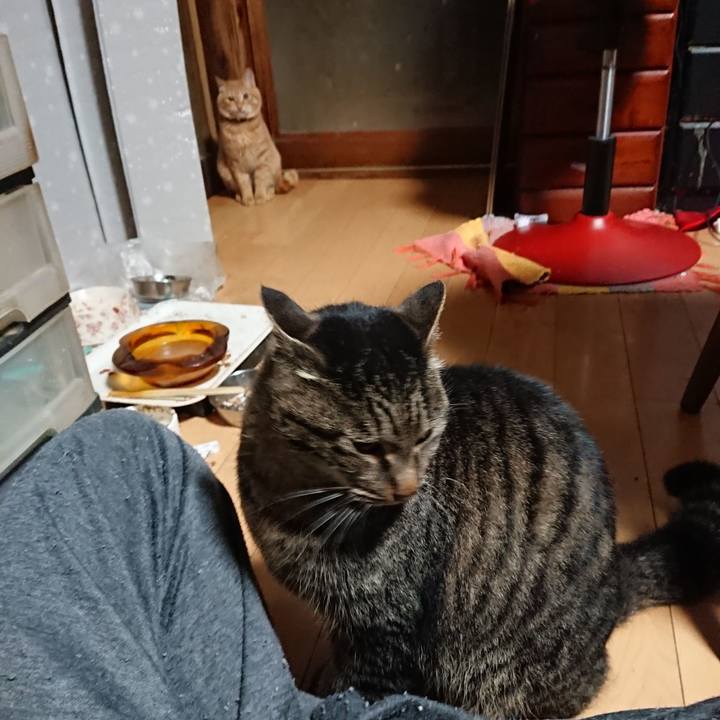 9dad9c65 3cae 45bf 9a6f 5cf72aafb452 1638478359329