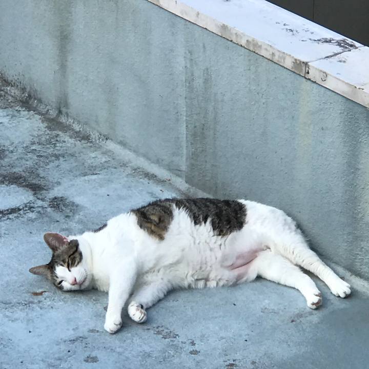 9dadb39a 9b87 435b b651 59955417979a 1529966353000