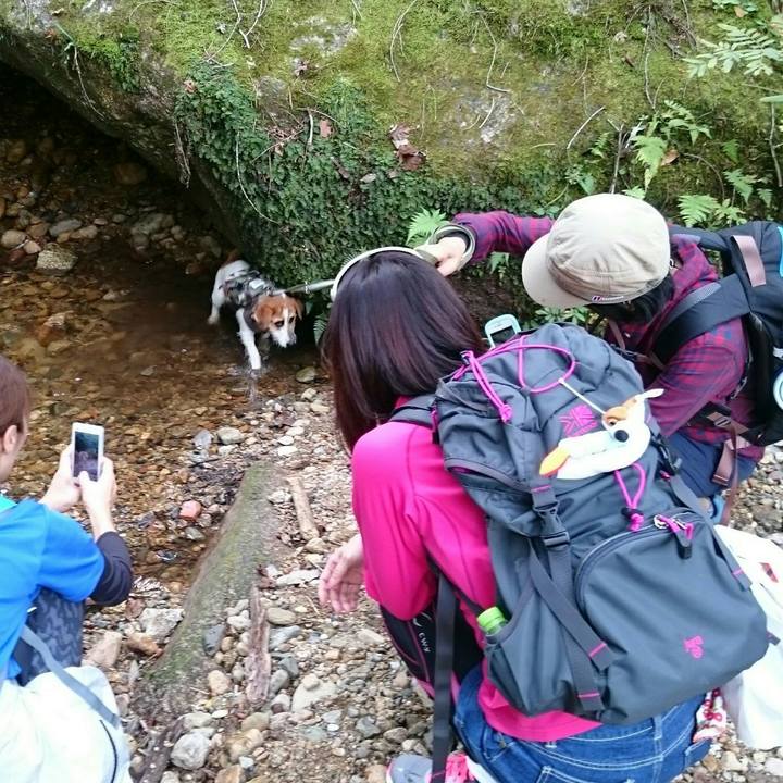 9dadb3f3 b04b 48bc bff5 805e6bceedf3 1539697517698