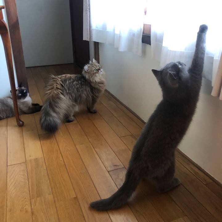 9dadb85a 2cd4 4c8b aa47 bce1fbb11a3d 1628417073446