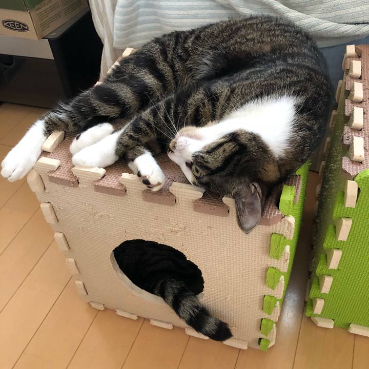 9dae485b 1642 41bd aeed 868ef829f41b 1524367515472