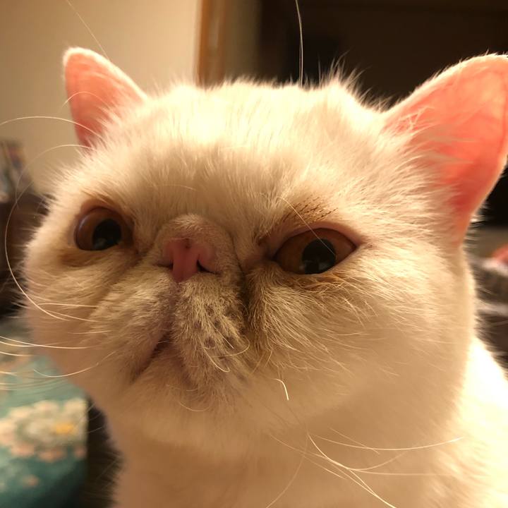 9dae55d0 5854 40d2 8201 5c634f30410c 1650625474490