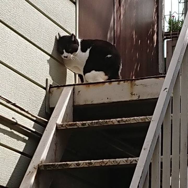 9dae595a 1c87 422c 9ea6 2ec2a96af440 1695517231828