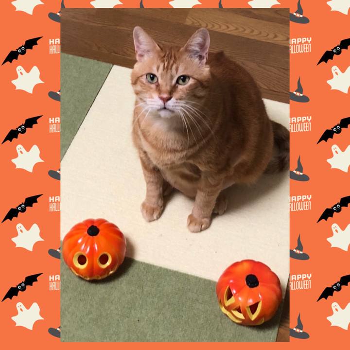 9dae7b6d 151c 4161 9c64 0c97794ffd69 1633263079421