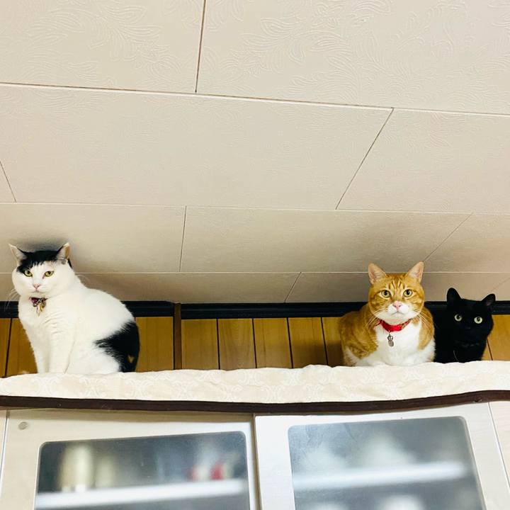 9daea583 5265 414b badd 853802c5ef6d 1736111056748