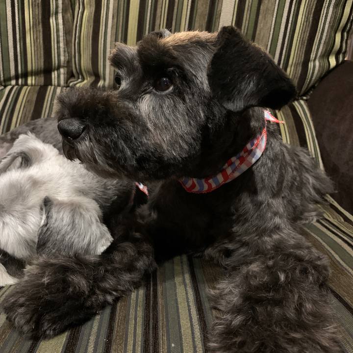 9daea917 205a 4cd1 a671 fe117104ce1a 1597492476629