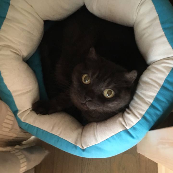 9daec93c af5c 4032 9834 e564bfd195f5 1570349273401