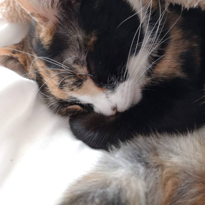 9daed143 bd2b 41d7 800a 342fff279a48 1610612768614