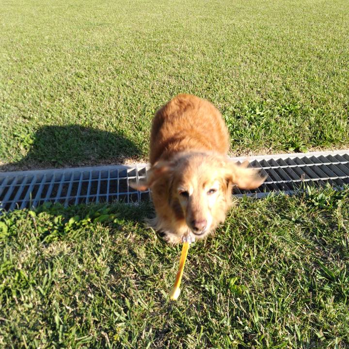 9daf32d5 80be 48cb 9007 3eedaa884eb8 1682681488150