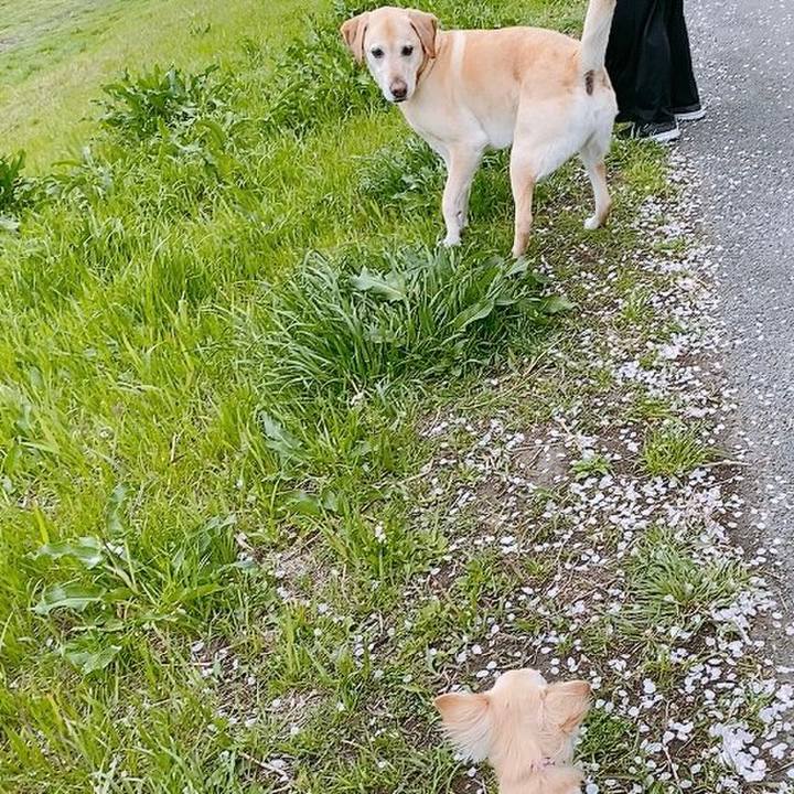 9daf55eb dd0e 4c5e ae83 1f10a1eca10d 1617140738715