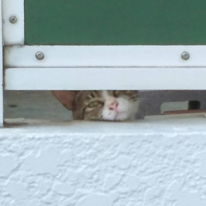 9dafa46d 5d7c 421c 8954 8e60bafe2d73 1532693364355