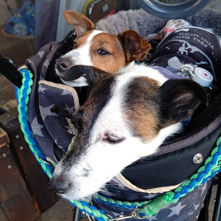 9dafa997 5ec0 477f a560 a716752a53d7 1668407272140