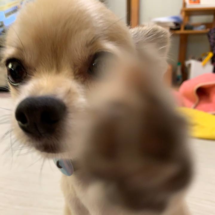 9daff8a2 af1f 4907 80fb 1b125e47dd6d 1599307842291