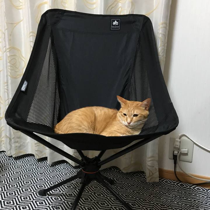 9db01a74 ef22 40b7 a622 30063982d2af 1531915690370