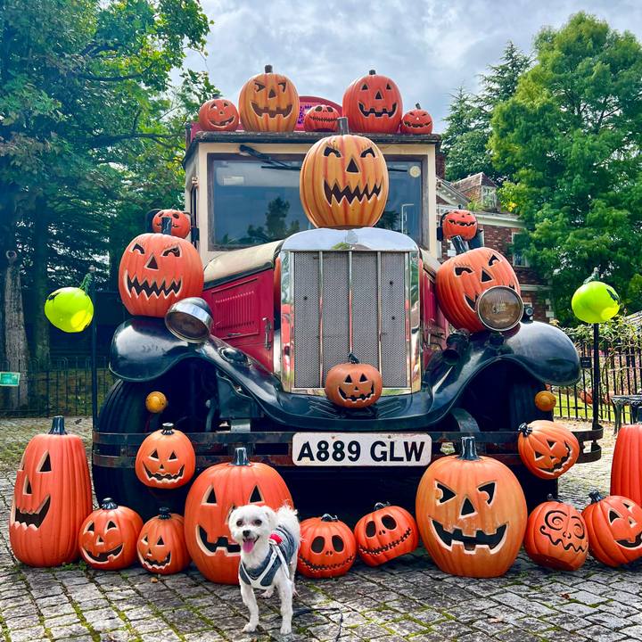 9db03ae8 c467 4326 9ede dfca5fbb383d 1666949281764