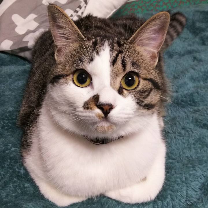 9db06963 bb2e 4fea b891 7e1c99782b59 1620773078975