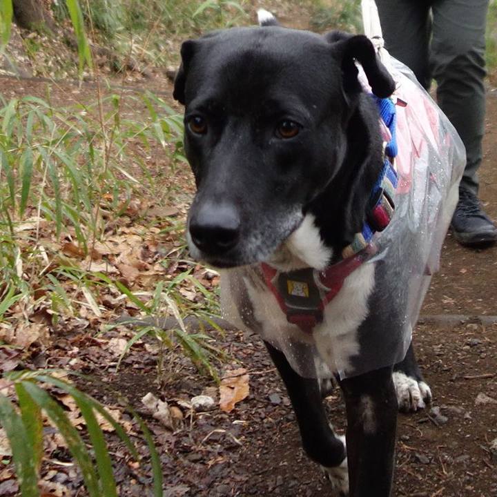 9db07b1e d750 48c4 a07c 83330dca1faa 1646700310925