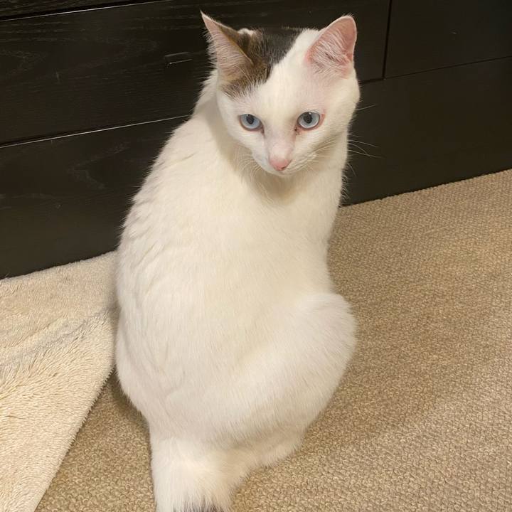 9db0928e 2625 4cb7 a43f dfaace7fa05d 1671751441681