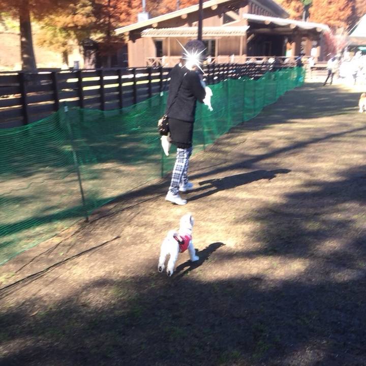 9db09a0c ff78 4dc1 8626 5b27b131a6ba 1511093333412