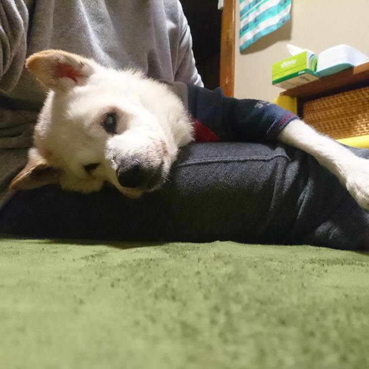 9db0aa9b 896f 4dd0 ae67 f57e95a7d88f 1538317318705