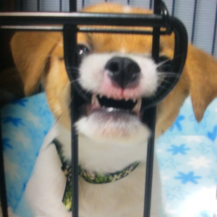 9db0cb80 5072 409f 87be 4f18db84ac9a 1556614430602