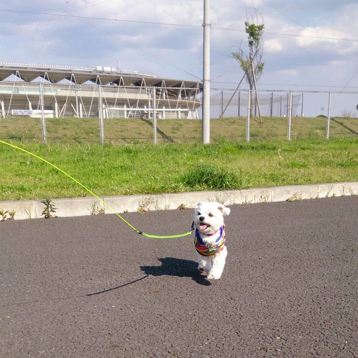 9db0d5a4 f457 4728 9f12 3ea4b118370c 1523174030368