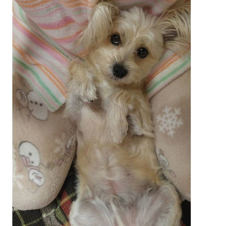 9db0f952 b629 4750 82fd fc81f47d27ef 1512827719687