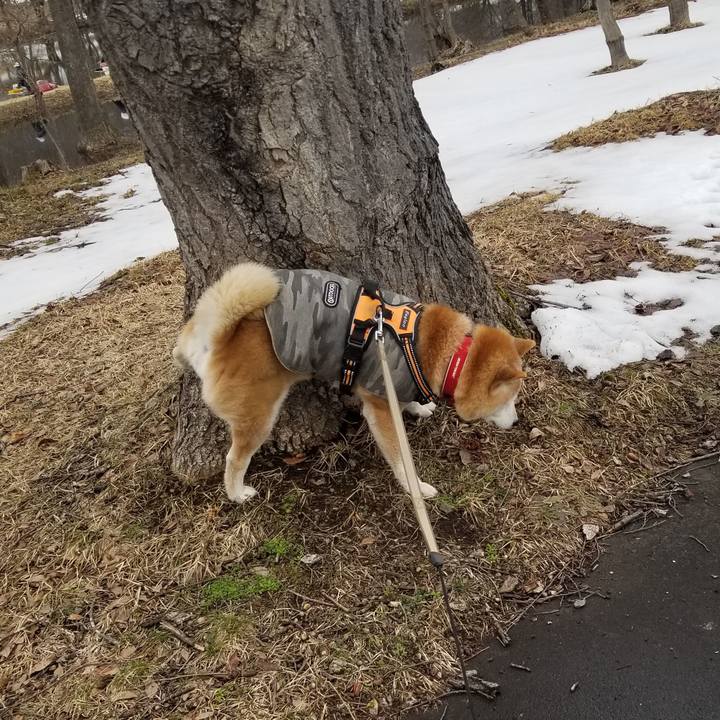 9db107a1 cf6a 43f9 bc48 512b116557cc 1711337460975