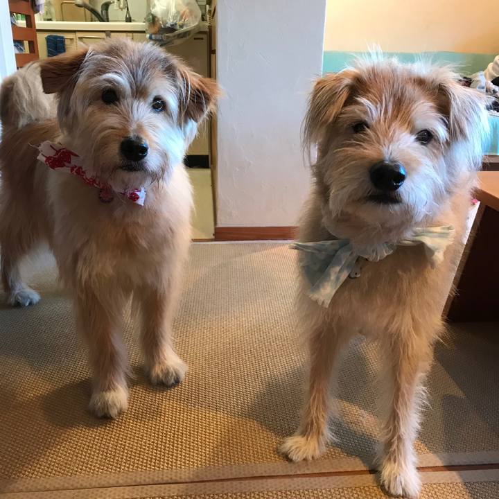 9db107cc 598d 454a 99b2 a35d0fb4b519 1530261702687