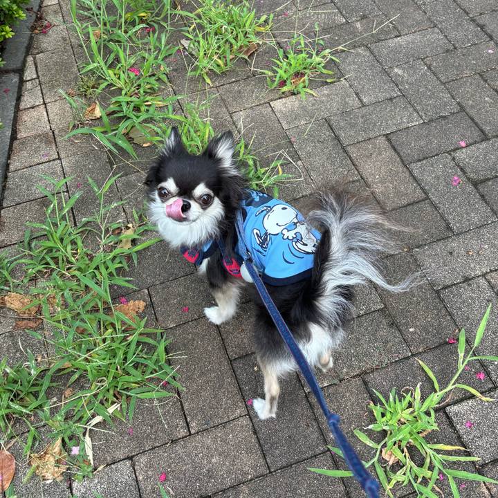 9db114cd f322 4804 8710 1cf86da81ca8 1723737340282