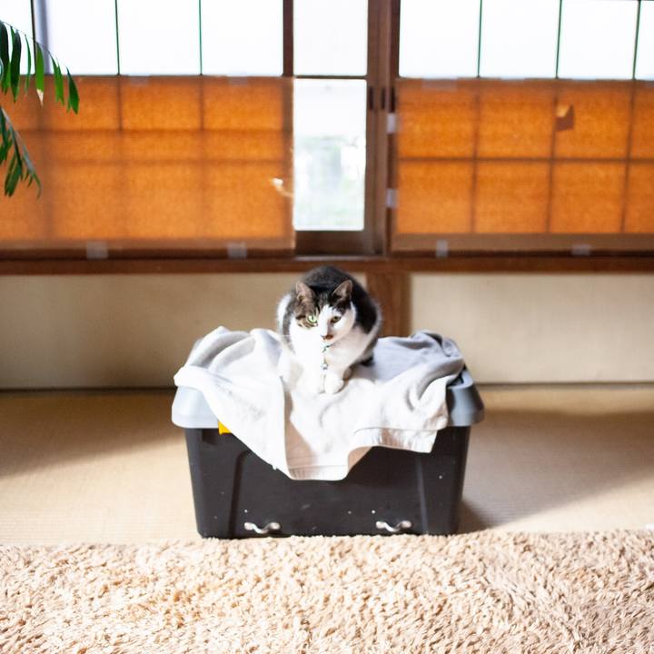 9db13411 0d18 4c9c 9c9f a9ed480475a3 1608946380432